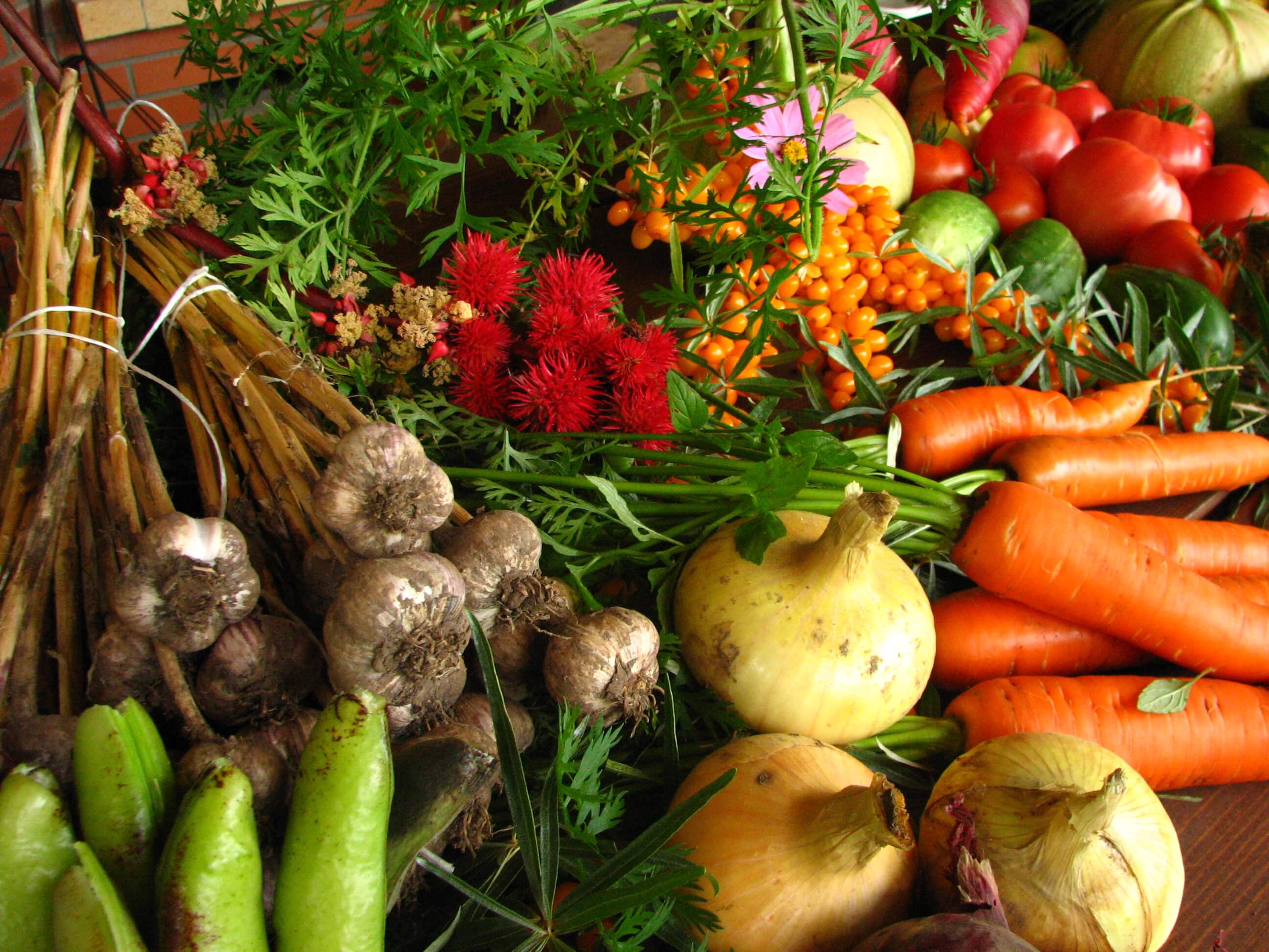 Benefits of Organic Foods